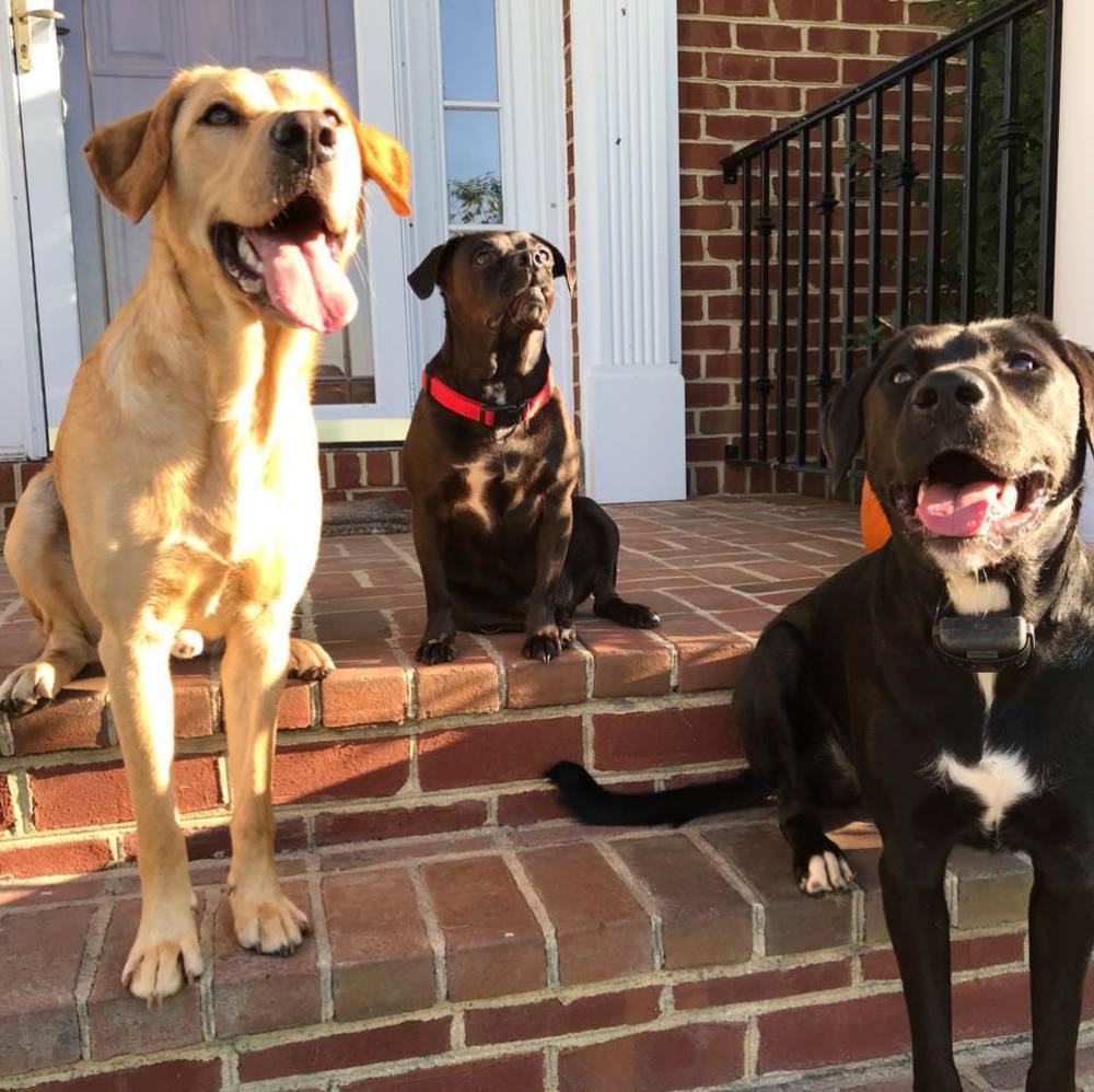 Meet your Posher, Jeannette